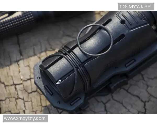 全面剖析V5反击战术背后的策略与执行细节